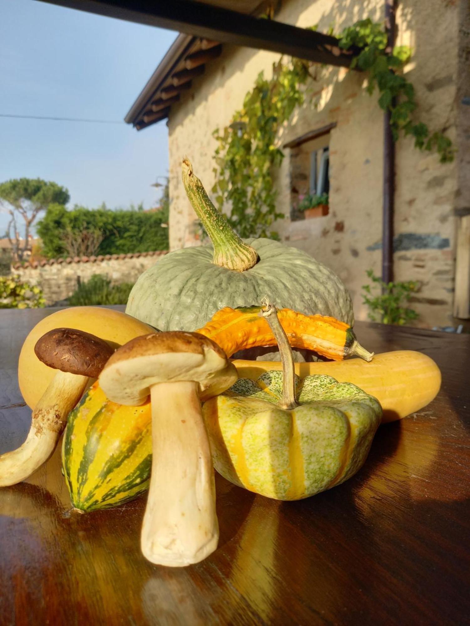 Oggiono B&B Cascina La Cinciallegra מראה חיצוני תמונה