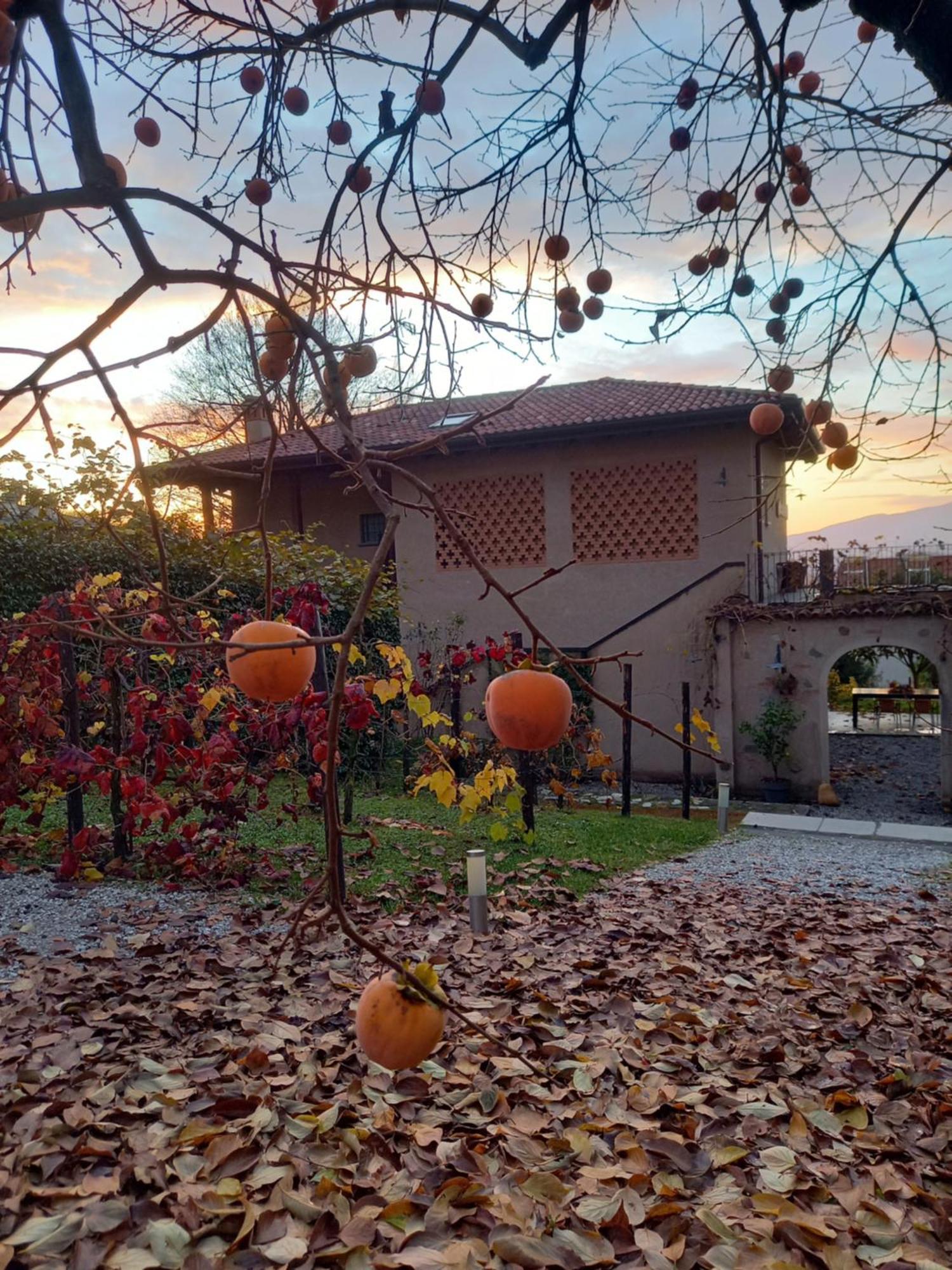 Oggiono B&B Cascina La Cinciallegra מראה חיצוני תמונה